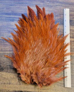 Lot 74, Extra Large Dyed BROWN India Rooster "Streamer" Saddle Feathers Fly Tying Jewelry Crafts