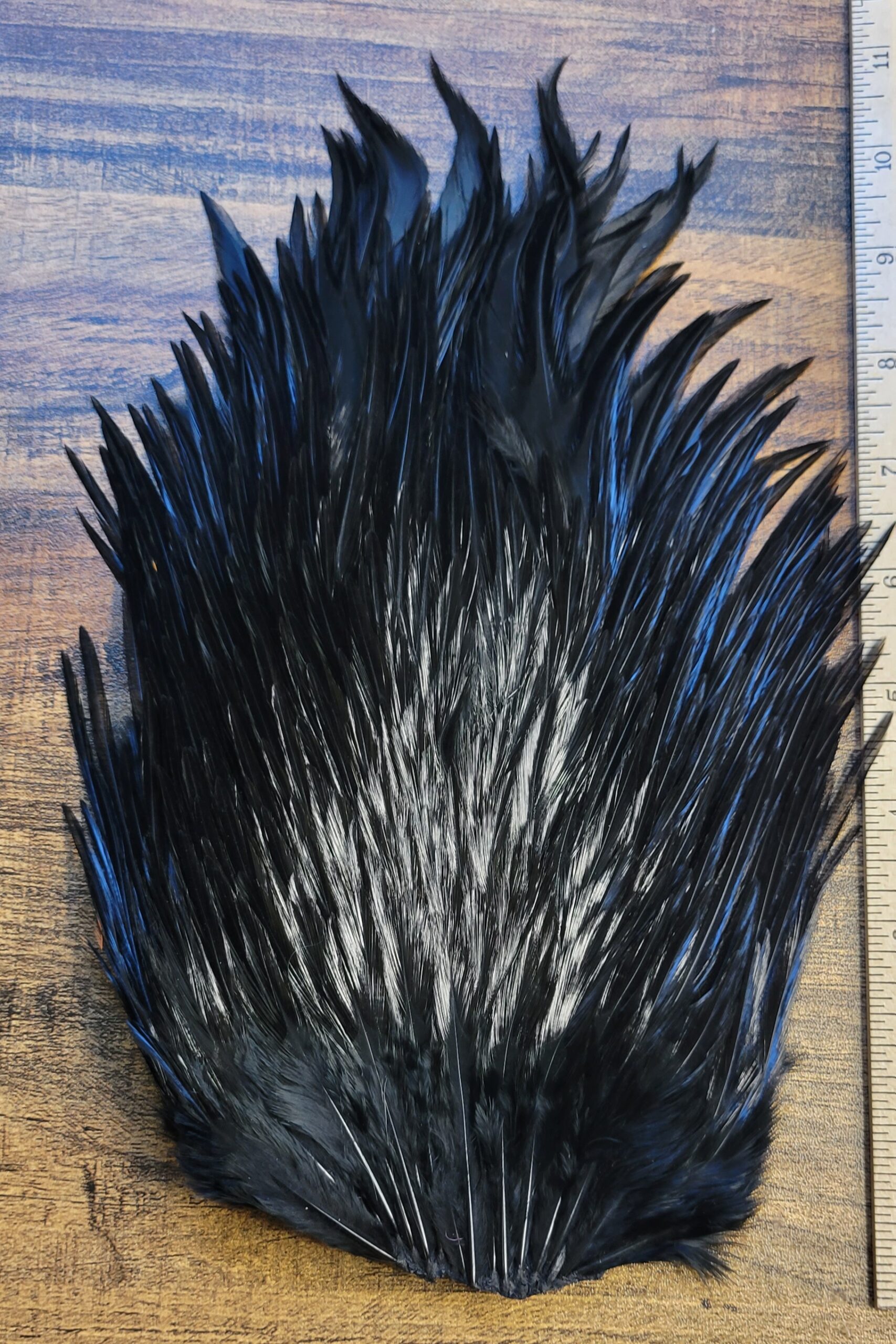 Lot 76, Extra Large Dyed BLACK India Rooster "Streamer" Saddle Feathers Fly Tying Jewelry Crafts - Image 3