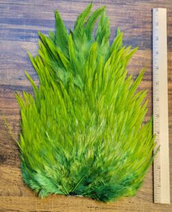 Lot 80, Extra Large Dyed OLIVE India Rooster "Streamer" Saddle Feathers Fly Tying Jewelry Crafts