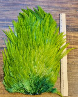 Lot 81, Extra Large Dyed OLIVE India Rooster "Streamer" Saddle Feathers Fly Tying Jewelry Crafts