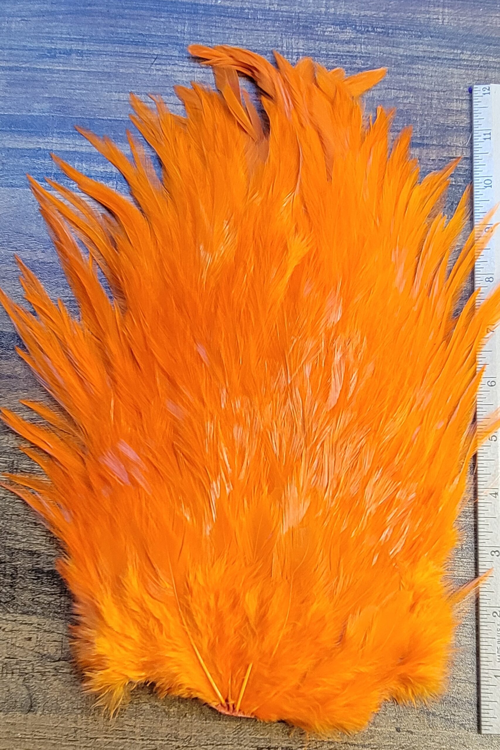 Lot 96, Extra Large Dyed ORANGE India Rooster "Streamer" Saddle Feathers Fly Tying Jewelry Crafts - Image 3
