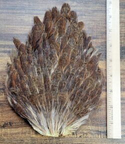 Lot 82, Whole Natural Hen Back Saddle Feathers Fly Tying Jewelry Crafts