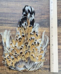Lot 83, Whole Natural Hen Back Saddle Feathers Fly Tying Jewelry Crafts