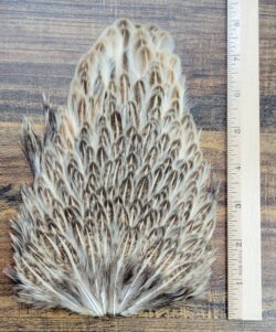 Lot 86, Whole Natural Hen Back Saddle Feathers Fly Tying Jewelry Crafts